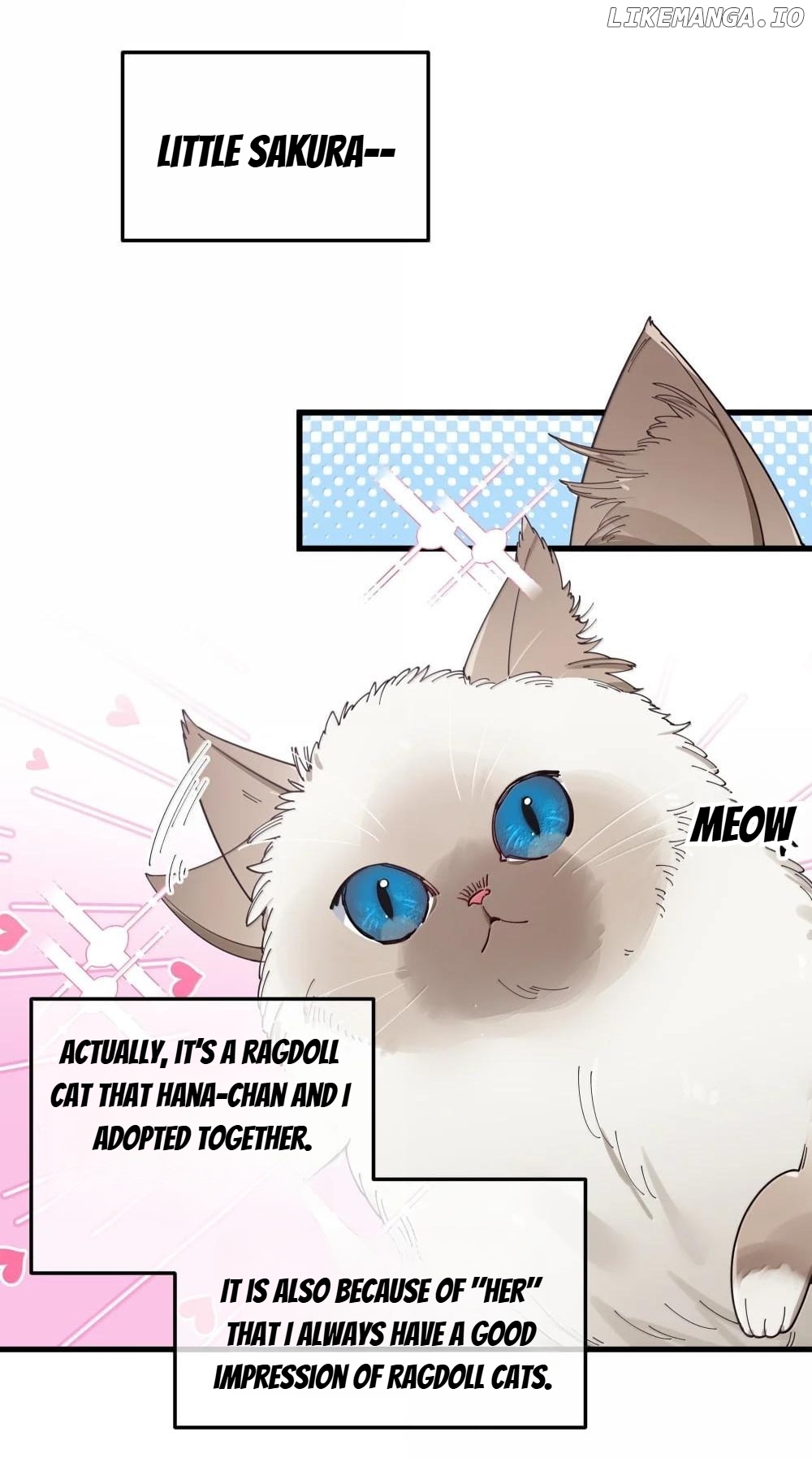 My Fake Girlfriends are using me as a Shield Chapter 137 - page 17